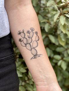 a woman's arm with a cactus tattoo on it