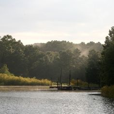 there is a dock on the water in front of some trees and foggy sky