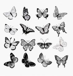 a bunch of butterflies flying in the air