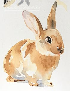 a watercolor painting of a rabbit and a bird