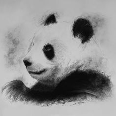 a black and white drawing of a panda bear