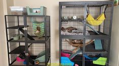 two cages with birds in them sitting on the floor next to another caged animal