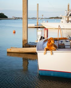 Finest quality printing on archival papers. Summer Photo Dump, Dog Days Of Summer, Coastal Life, Coastal Granddaughter, Summer Dream, Colour Photography, Lake Life, Charleston Sc, Future Life