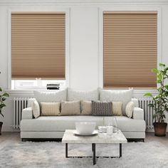 a living room filled with furniture and windows covered in shades of light brown blind blinds