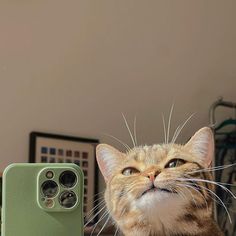 an orange cat sitting next to a green cell phone case on top of a table