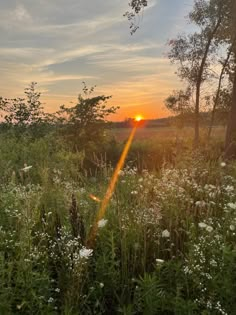 the sun is setting over a field with wildflowers and trees in the foreground