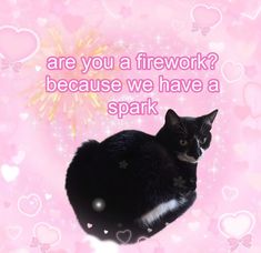 a black and white cat sitting on top of a pink background with words that read are you a firework? because we have a spark