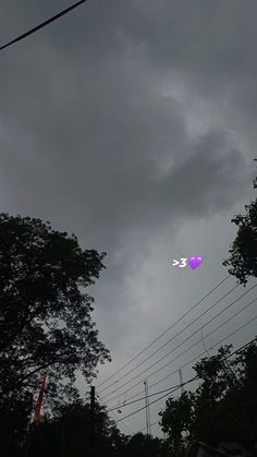 two kites flying in the sky over some trees and power lines on a cloudy day