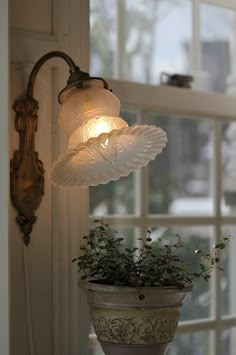 a potted plant sitting on top of a window sill next to a wall light