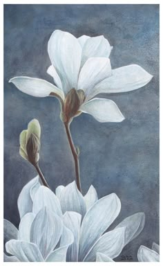 a painting of two white flowers on a blue and gray background, with one flower in the foreground