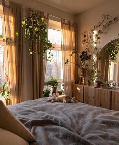 a bed room with a neatly made bed and lots of plants on the windowsill