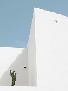 a white building with a cactus growing out of it's corner and the words stils imagine above it