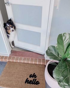 a dog is peeking out from behind a door mat that says oh hello on it