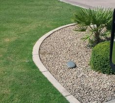 a small palm tree sitting in the middle of a rock garden bed next to a sidewalk