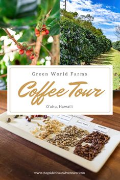 green world farms coffee tour in oahu, hawaii with images of coffee plants and trees