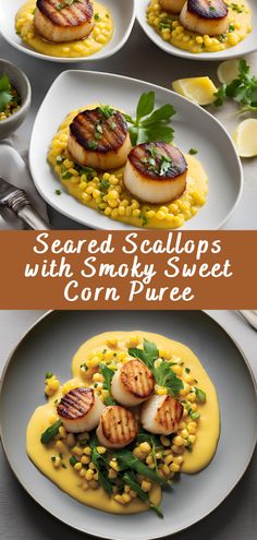 scallops with smoky sweet corn puree are served on white plates and garnished with fresh herbs