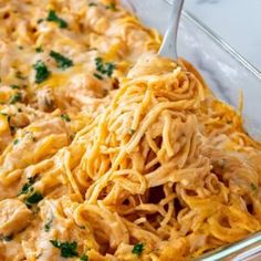 a casserole dish with chicken and noodles in it, being scooped from the casserole