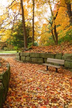 a park bench sitting on top of a pile of leaves next to a stone wall