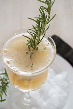 a close up of a drink in a wine glass with a sprig of rosemary on top