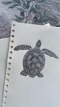 a drawing of a turtle on top of a piece of paper