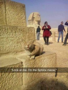 an orange cat sitting on top of a stone wall next to people and sphinxs