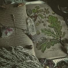 an open book with flowers and leaves on it sitting next to some yarn, scissors and other items