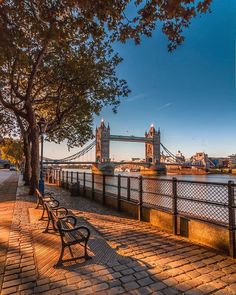 a bench sitting on the side of a river next to a tall tower building with a bridge in the background