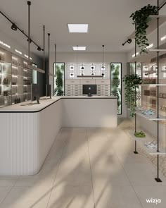 an empty store with lots of shelves and plants