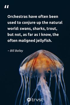 a jellyfish with a quote on it that says, orchestras have often been used to conure up the natural world