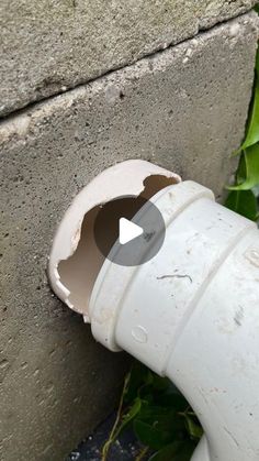 a white pipe sticking out of the side of a cement wall next to green plants