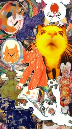 a collage of cats and fish in various colors, shapes, and sizes with one cat looking up at the camera