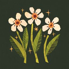 three white flowers with green leaves on a black background and stars in the sky above them