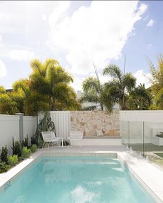 an empty swimming pool surrounded by greenery and white fenced in area with palm trees