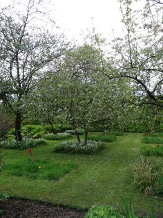 an apple tree is in the middle of a grassy area with flowers and trees around it