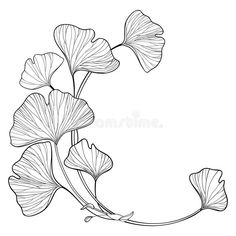 the outline of a flower with leaves