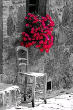 a blue chair sitting in front of a window with pink flowers on the outside wall