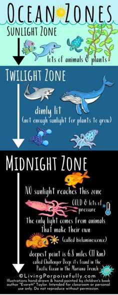 an ocean zone poster with different types of animals