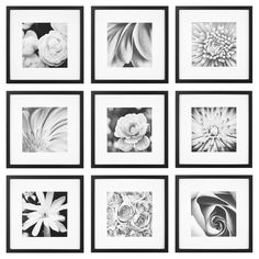 six black and white photographs hanging on the wall in front of each other with flowers