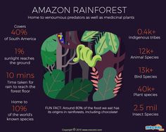 the amazon rainforest is home to numerous pests as well as medical plants