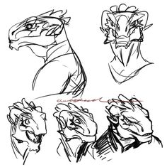 some sketches of the head and shoulders of an animal