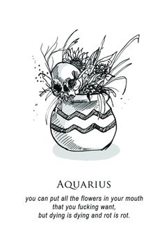 an ink drawing of a vase with flowers in it and a poem about aquarius