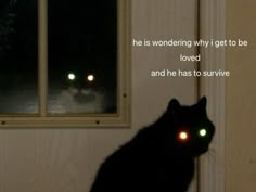 a black cat sitting in front of a door with glowing eyes and the caption he is wondering why it get to be loved and he has to survive