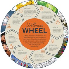 a wheel that has pictures and words on it with an orange circle in the center