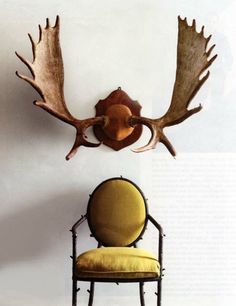 an antler's head mounted to the side of a wall next to a chair