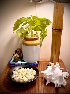 a potted plant sitting on top of a wooden table next to a bowl of popcorn