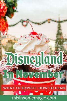 disneyland in november what to expect, how to plan