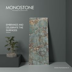 the cover of monotone magazine features an image of a marble column and potted plant