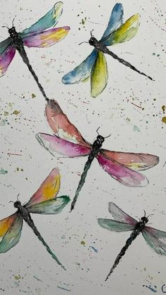 four dragonflies painted in watercolor on white paper