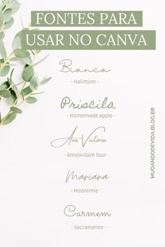 an image of a menu with olives on it and the words'fontes para usar no canva '