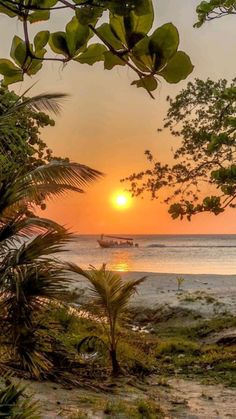 the sun is setting over the ocean with boats in the water and palm trees on the shore